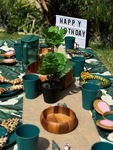PARTY BOX - Jungle Theme