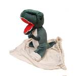 Diego the Weighted Dino 2KG