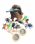 205: Bugs Playset