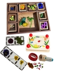 Nature Discovery Set
