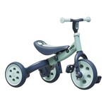 Trike 2 in 1 Balance Trainer