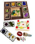 1138: Flower Exploration Kit