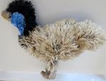 Emu