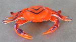 Crab