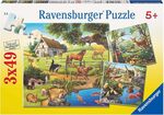 Forest, Zoo and Pets Puzzles