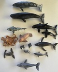 Ocean Animals
