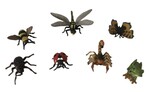 Insects Collection