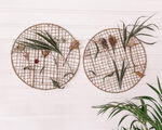 Nature Weaving Frames