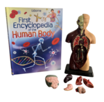 S43: Learn about the Human Body