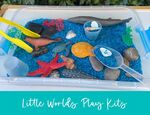 229: Little Ocean Sensory
