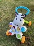 238: Zebra Activity Walker
