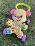Puppy Activity Walker