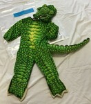 D6: Crocodile 