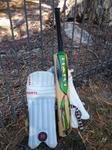 Cricket bat and pads