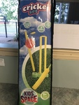 Cricket Set