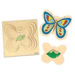 Butterfly Growth Puzzle