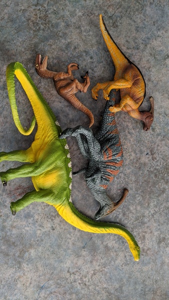 62074: Dinosaurs 