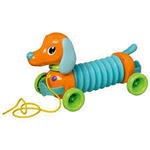 marley the musical accordion dog