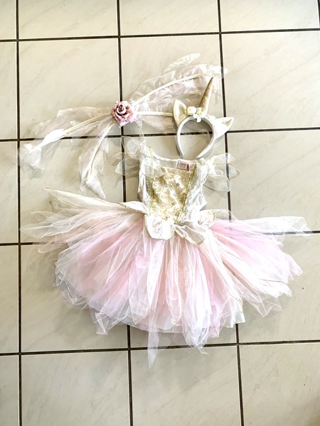 62381: Pink & Cream Fairy Dress w/ Unicorn Headband & Wings (Size 6)