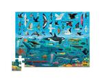 Above and below sea life puzzle