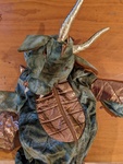 Dragon Costume