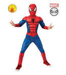 Spider-Man dress up 