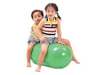 84491: gym roll
