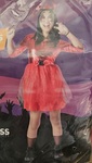 Devil Dress Costume