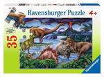 Dinosaur Playground Puzzle