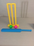 Cricket set