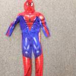 Spiderman Costume