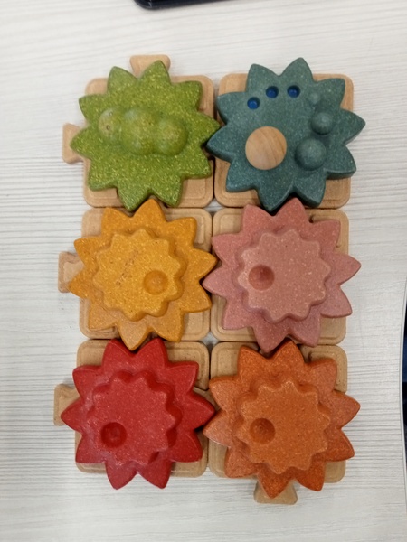 3006: Flower Gear Puzzle