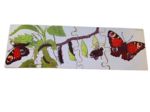 Butterfly Puzzle