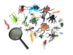 R12: Mini beasts pack