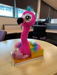 812406: Frankie Flamingo