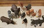 Schleich Wild Animal Pack