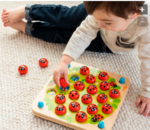 Ladybug's Garden Memory Game