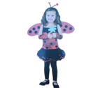 Lady Bug Costume