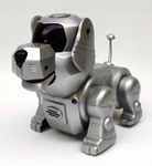 Popito Jr, Grey Robot Dog.