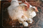 Hen And Chickens Puzzle