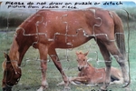 Horse And Foal Puzzle