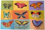 Butterfly Puzzle In A Box