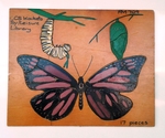 Butterfly Life Cycle Jigsaw