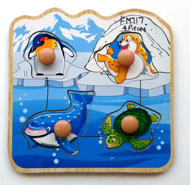 FM717: Underwater Knob Puzzle