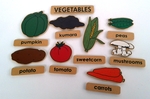 Vegetable Magnet Set