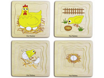 A56: Chicken Life Cycle Layer Puzzle