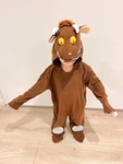 D2: Gruffalo dress up 
