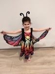 Butterfly dress up 