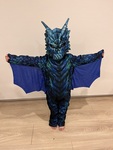 Dragon dress up 