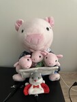Preston the Storytelling Pig 